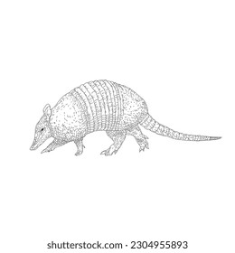 
Vector design of armadillo in line art style flat art.