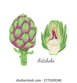 Vector design of artichokes, fresh vegetables