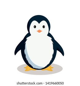 Vector design of baby penguin