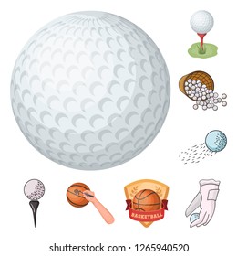 Vector design of ball and soccer symbol. Collection of ball and basketball stock vector illustration.