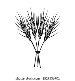Vector design of barley and sheaf icon. Graphic of barley and malt vector icon for stock.