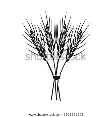 Vector design of barley and sheaf icon. Graphic of barley and malt vector icon for stock.