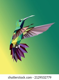 Vector design of a beautiful hummingbird in low poly, geometric style