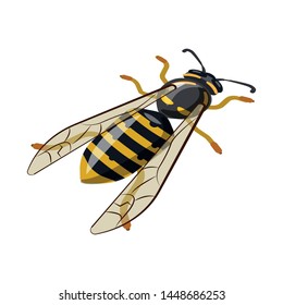 Vector design of bee and honey icon. Collection of bee and nature stock symbol for web.