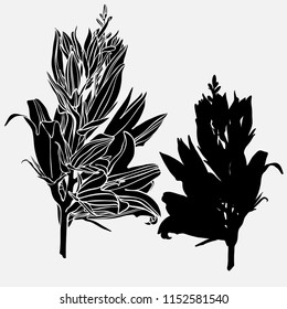 Vector design with bell flowers. Elements isolated on white background. In black and white style. Can be used for printing on paper, stickers, badges, bijouterie, tattoo.