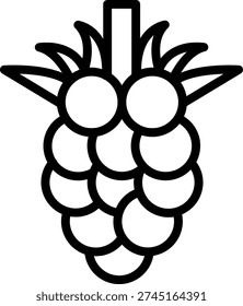 Vector Design Berry Burst Icon Style