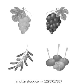 Vector design of berry and fruit icon. Set of berry and redberry  stock vector illustration.