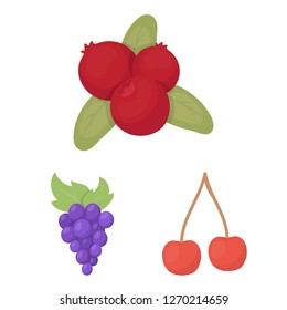 Vector design of berry and fruit logo. Set of berry and redberry  stock symbol for web.