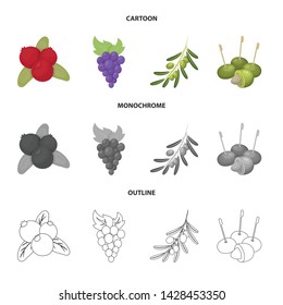 Vector design of berry and fruit sign. Set of berry and redberry stock symbol for web.