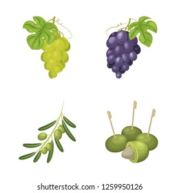 Vector design of berry and fruit symbol. Collection of berry and redberry  stock vector illustration.