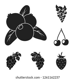 Vector design of berry and fruit symbol. Collection of berry and redberry  stock vector illustration.