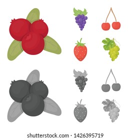 Vector design of berry and fruit symbol. Collection of berry and redberry stock symbol for web.