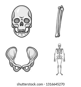 Vector design of biology and medical icon. Collection of biology and skeleton stock vector illustration.