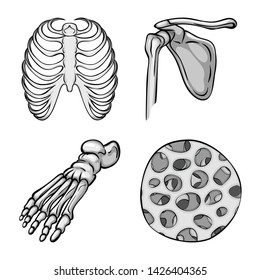 Vector design of biology and medical icon. Collection of biology and skeleton vector icon for stock.