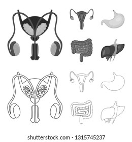 Vector design of biology and scientific icon. Collection of biology and laboratory vector icon for stock.