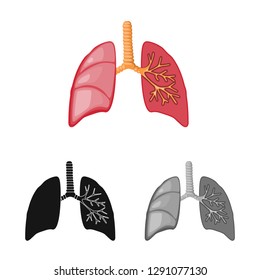 Vector design of biology and scientific sign. Set of biology and laboratory stock vector illustration.