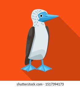 Vector design of bird and booby sign. Graphic of bird and blue stock vector illustration.