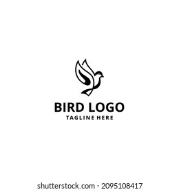 vector design bird logo illustration