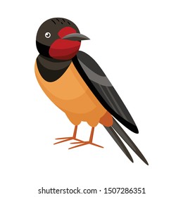 Vector design of bird and nightingale logo. Web element of bird and small vector icon for stock.