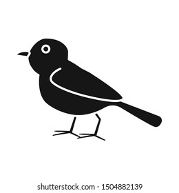 Vector design of bird and tit symbol. Graphic of bird and titmouse stock symbol for web.