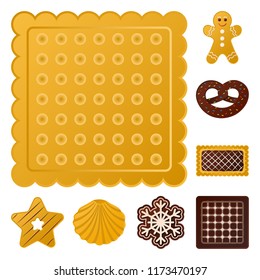 Vector design of biscuit and bake symbol. Collection of biscuit and chocolate vector icon for stock.