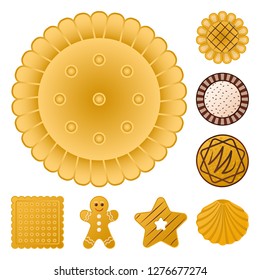 Vector design of biscuit and bake symbol. Collection of biscuit and chocolate stock vector illustration.