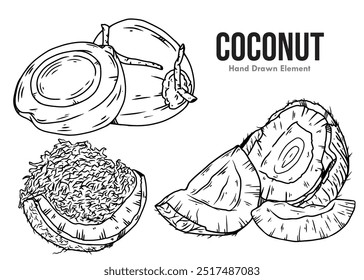 Dibujo de línea de tinta negra de diseño de Vector de coco, coco rallado, coco joven, coco viejo sobre fondo blanco. Adecuado para el diseño de envases, belleza, medicina y hierbas