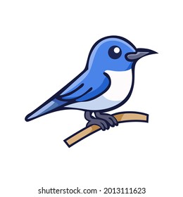 vector design, blue bird illustration