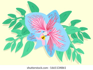 vector design of blue flower hand drawing