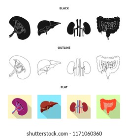 Vector design of body and human icon. Collection of body and medical stock vector illustration.
