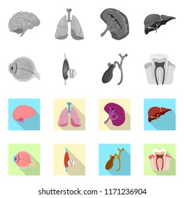 Vector design of body and human icon. Set of body and medical stock symbol for web.