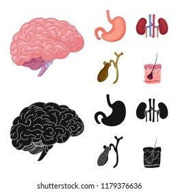 Vector design of body and human icon. Set of body and medical stock vector illustration.