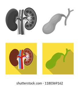 Vector design of body and human icon. Set of body and medical vector icon for stock.