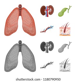 Vector design of body and human icon. Set of body and medical vector icon for stock.