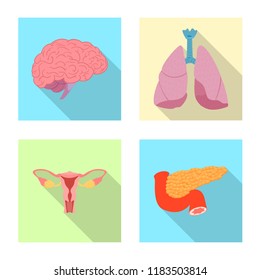 Vector design of body and human icon. Set of body and medical stock vector illustration.