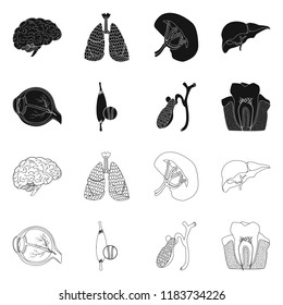 Vector design of body and human icon. Collection of body and medical vector icon for stock.