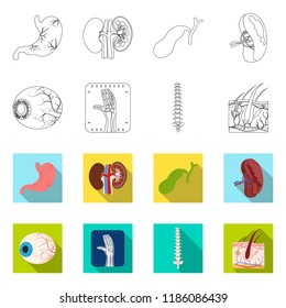Vector design of body and human icon. Collection of body and medical stock vector illustration.