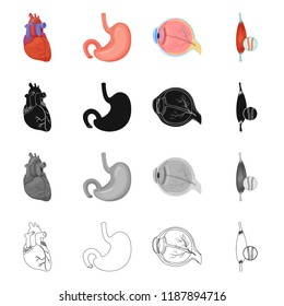 Vector design of body and human icon. Collection of body and medical stock symbol for web.