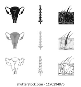 Vector design of body and human icon. Set of body and medical vector icon for stock.