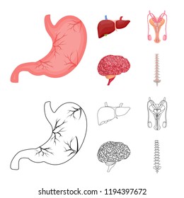 Vector design of body and human icon. Set of body and medical stock symbol for web.