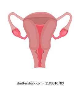 Vector design of body and human icon. Collection of body and medical vector icon for stock.