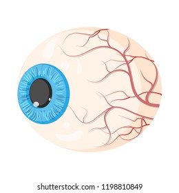 Vector design of body and human icon. Collection of body and medical stock vector illustration.