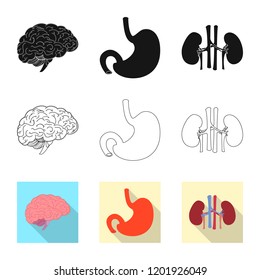 Vector design of body and human icon. Collection of body and medical stock vector illustration.