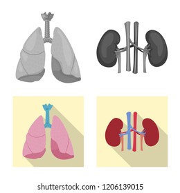 Vector design of body and human icon. Collection of body and medical vector icon for stock.
