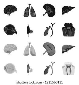Vector design of body and human icon. Collection of body and medical vector icon for stock.