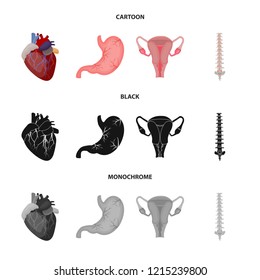 Vector design of body and human icon. Set of body and medical stock vector illustration.