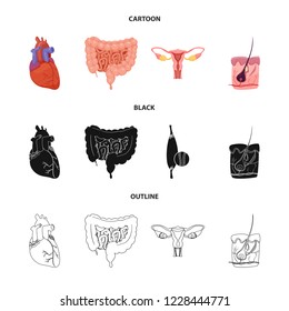 Vector design of body and human icon. Set of body and medical vector icon for stock.