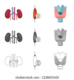 Vector design of body and human icon. Collection of body and medical stock vector illustration.