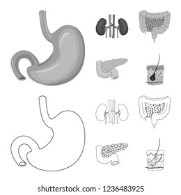 Vector design of body and human icon. Collection of body and medical vector icon for stock.