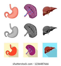 Vector design of body and human icon. Set of body and medical stock vector illustration.